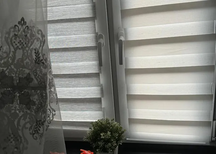 Smart-apt Comfortable In The Center Of * Kattowitz